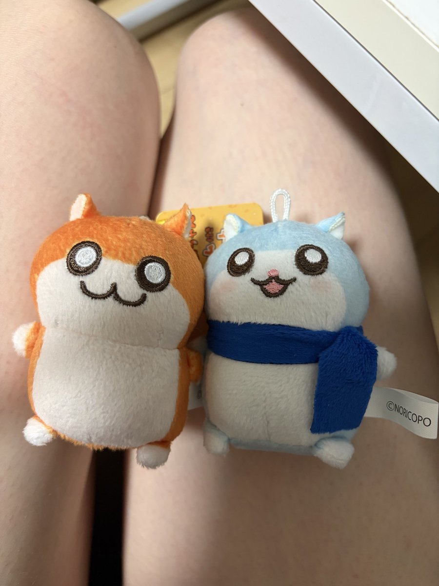 leiwen0103's tweet photo. 娘にクソハムちゃん
私にユキハムちゃんお迎えできて満足

可愛い https://t.co/uNGISJQchp