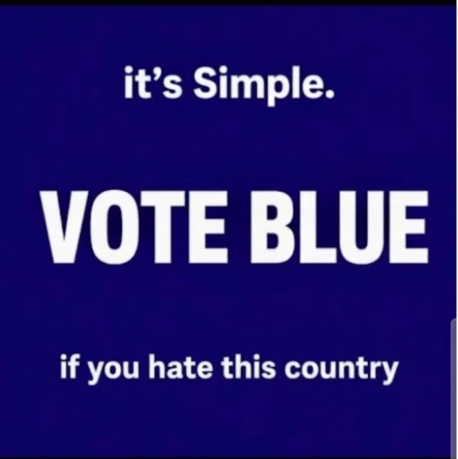 MoonwalkerLewis's tweet photo. @JamieBonkiewicz Vote red if you LOVE THIS COUNTRY https://t.co/ueutlcn4l3