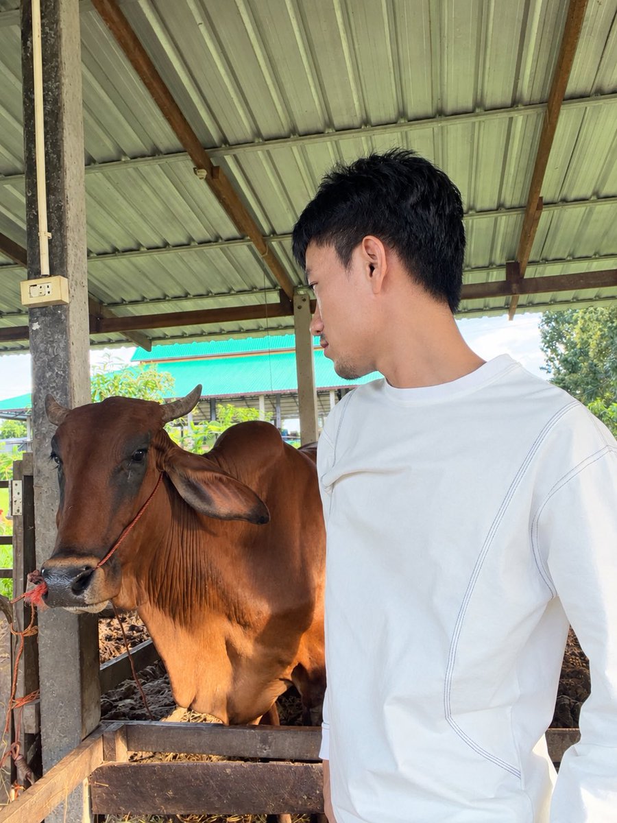 Matcha56Nuu's tweet photo. ฝันดีค้าบ #ศรีสะเกษ https://t.co/toFDDles10