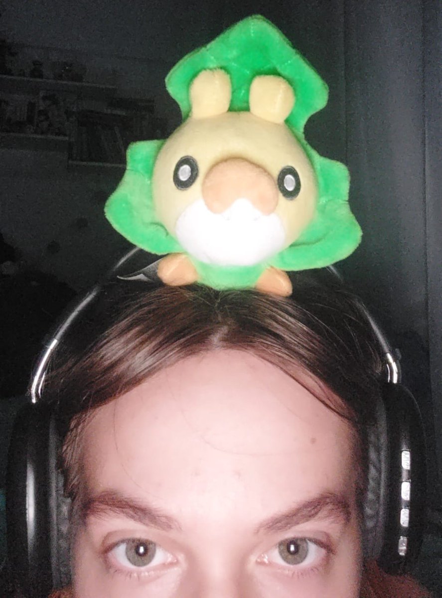 acervosewaddle's tweet photo. Postando o Sewaddle todo dia até ele ser o insetinho mais famoso do twitter

Dia 6– Rezem por mim, tô preso na faculdade no meio de uma operação policial muito grande e não consigo voltar pra casa☠️

📷– Quarto do adm (sou o sewaddle, não o humano embaixo https://t.co/Q5SSGt3IXb