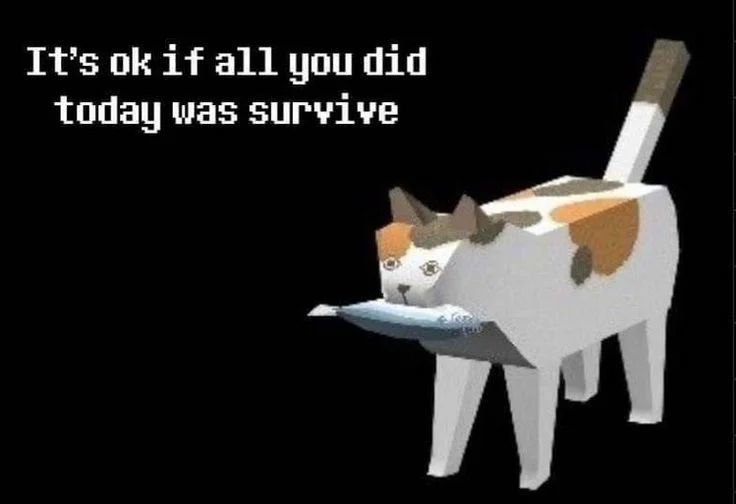 PunchingCat's tweet photo. https://t.co/vPRwLKWltq