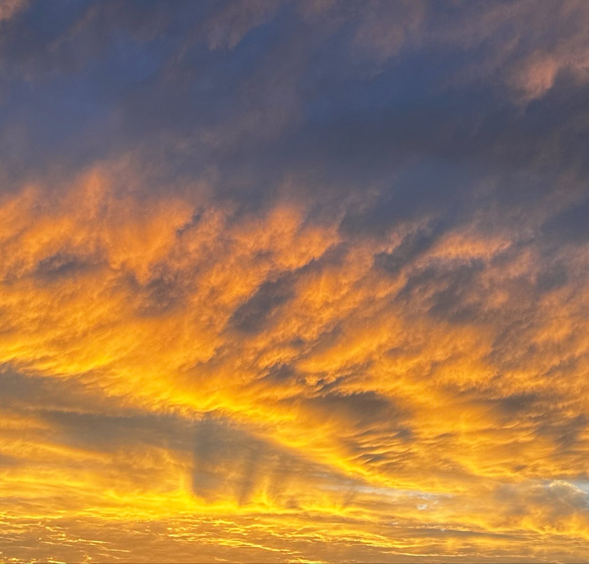 ERAI786's tweet photo. Post-rain poetry overhead! #Rain #Sunset #Chandigarh #Punjab https://t.co/xF8I3W7IDu