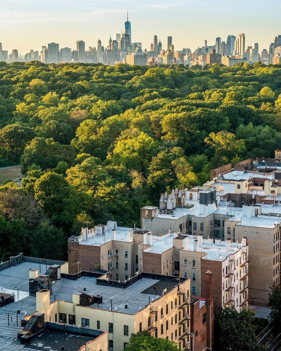 New York City plants 18,261 trees, the most in a decade

The city planted a record number of trees in fiscal year 2026, many in areas vulnerable to extreme heat
