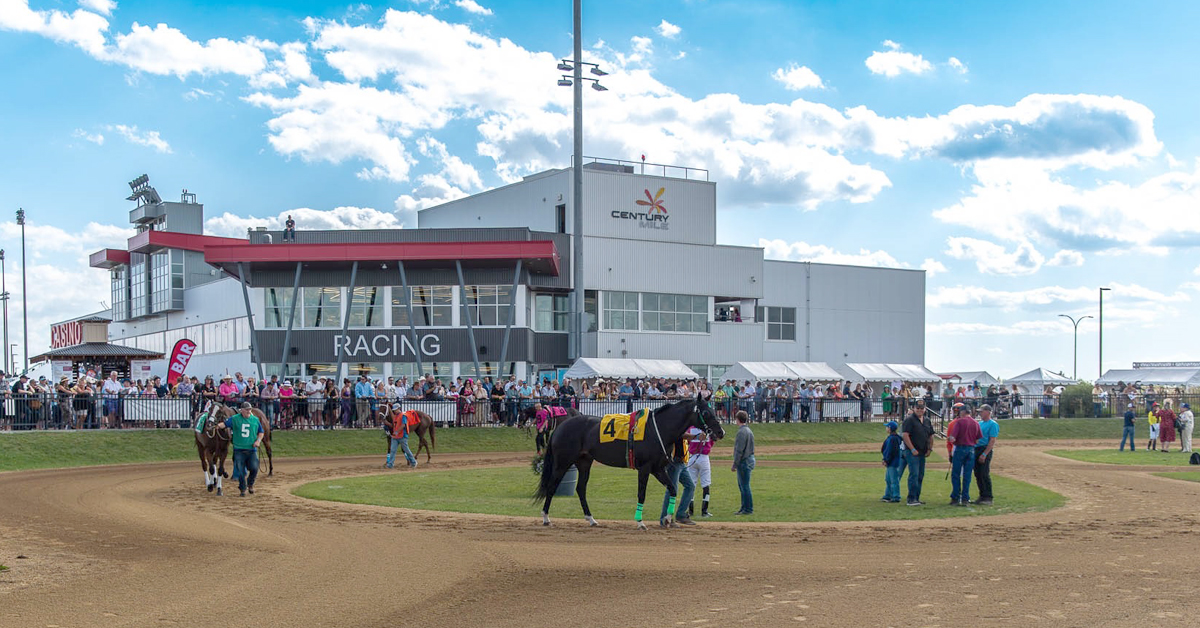 CanadianTbred's tweet photo. Horsemen Take Over as Highfield Acquires Alberta’s Two Major Racetracks
Highfield Investment Group acquires Alberta’s #CenturyMile and #CenturyDowns. #horseracing #racetracks
https://t.co/P7krTnRNv6 https://t.co/ScMUz6oOgN
