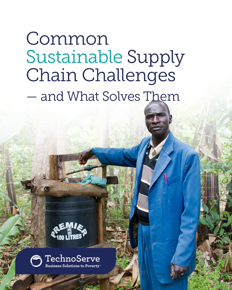 TechnoServe's tweet photo. Most sustainability strategies stop at tier-one suppliers. The highest-return investment is usually one mile further, the suppliers companies can't even name.

Four common supply chain challenges, and what actually solves them. https://t.co/1BzO6wbUty