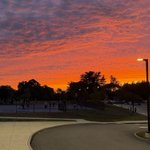 Photo by Florence Roche Elem (@FloRoElem)