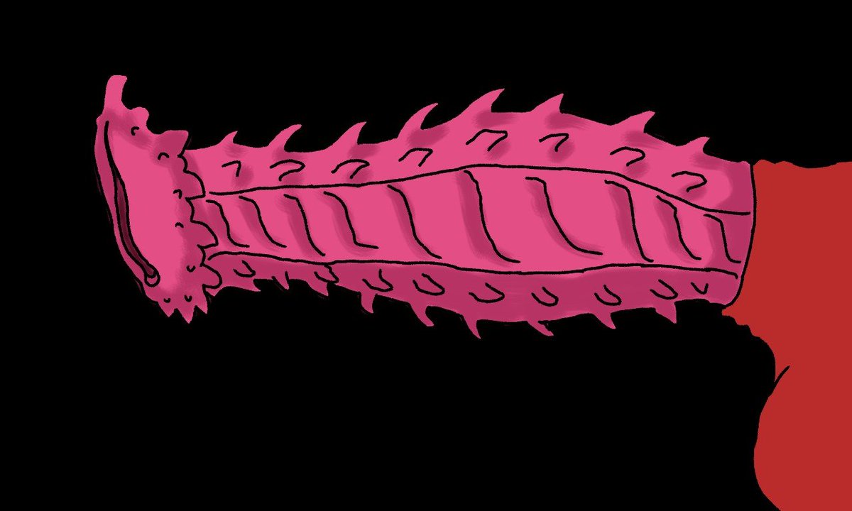 SneakyKobold_'s tweet photo. @BESTBEATBOXR Hows this? (20 inch) https://t.co/hitD3tjHxS