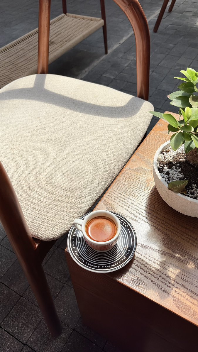 rli220's tweet photo. ☀️🌱🪴🧡. https://t.co/XOUcRt4tG6