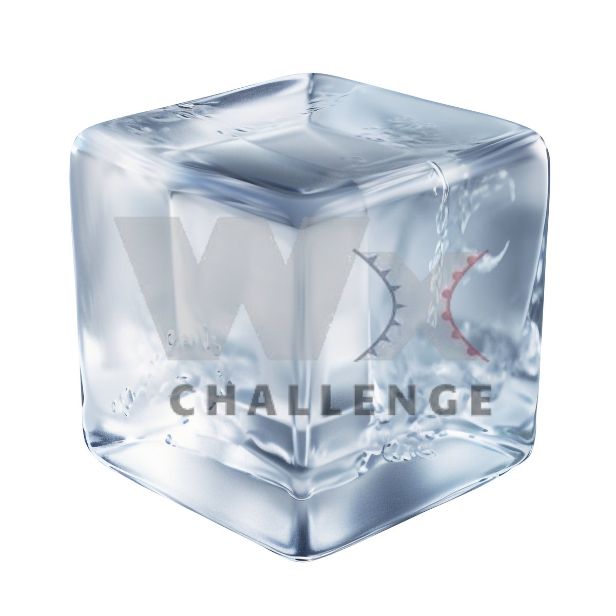 PeterC428's tweet photo. She's defrosting.... https://t.co/ROvSNMhgKQ