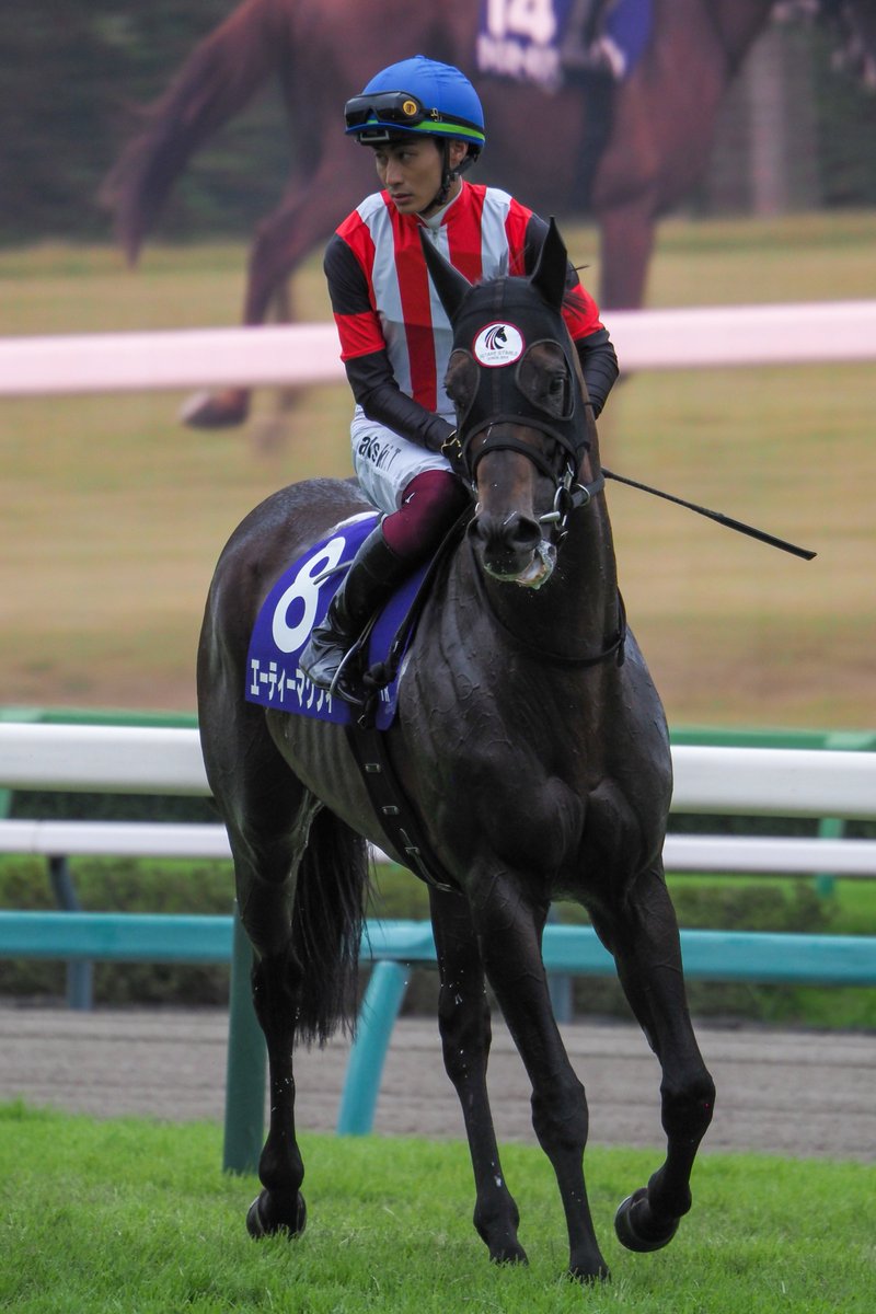 f_ltdexp_race's tweet photo. 2026.9.27
中山11R 
第60回スプリンターズステークス(GI)
エーティーマクフィ  富田暁騎手 https://t.co/pBKx2yjdwn