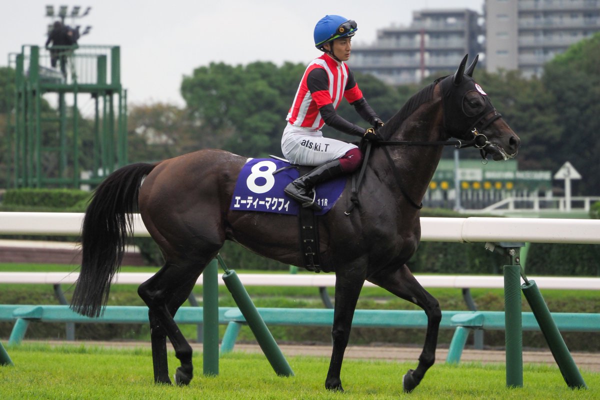 f_ltdexp_race's tweet photo. 2026.9.27
中山11R 
第60回スプリンターズステークス(GI)
エーティーマクフィ  富田暁騎手 https://t.co/pBKx2yjdwn
