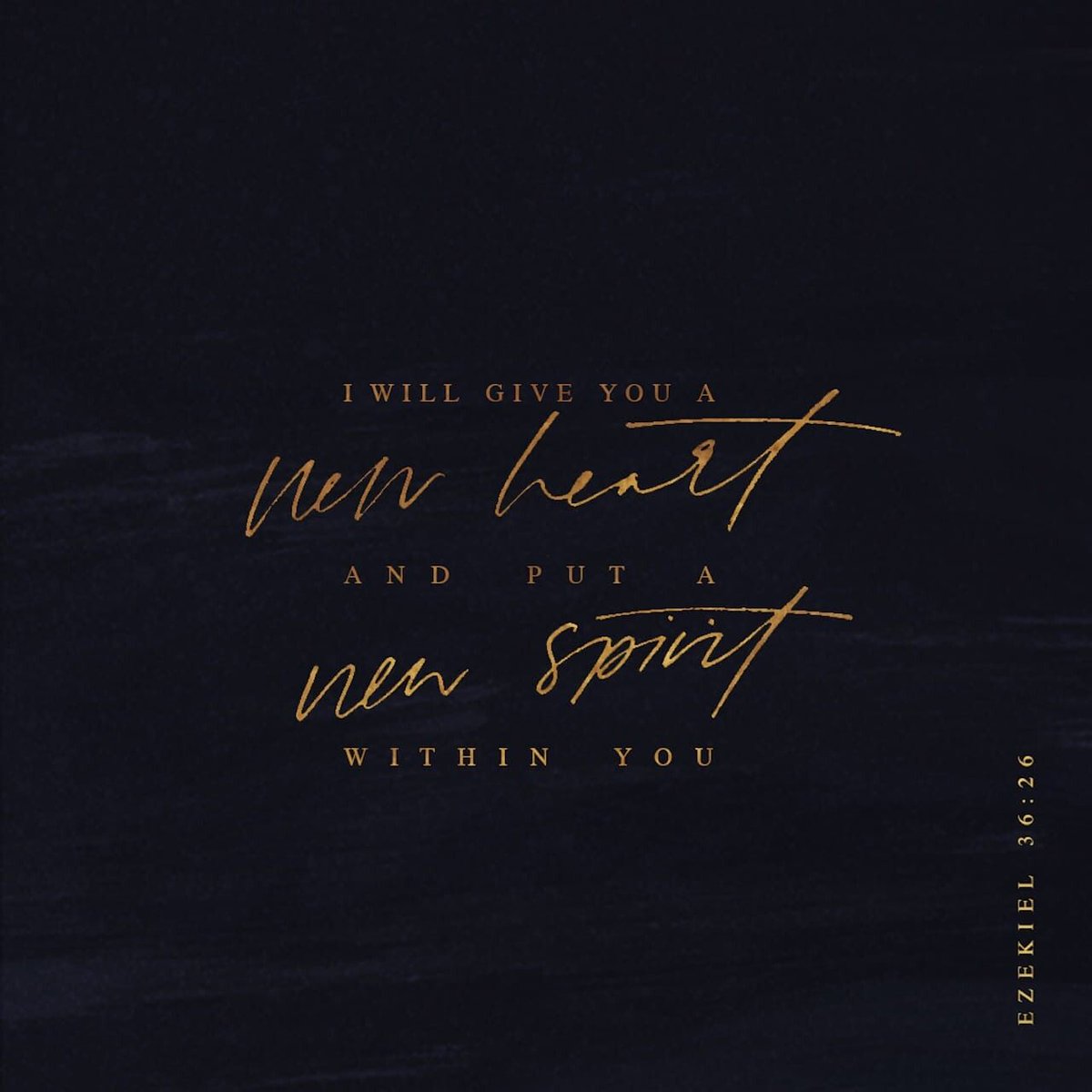 BeFreeChurch's tweet photo. Then I will sprinkle clean water on you, and you will be clean. Your filth will be washed away, and you will no longer worship idols. And I will give you a new heart, and I will put a new spirit in you.
#Ezekiel36v25and26
.
.
.
#WordForTheWeek #BeFreeChurch #BeFreeBarrington https://t.co/SaCvXEBSHK