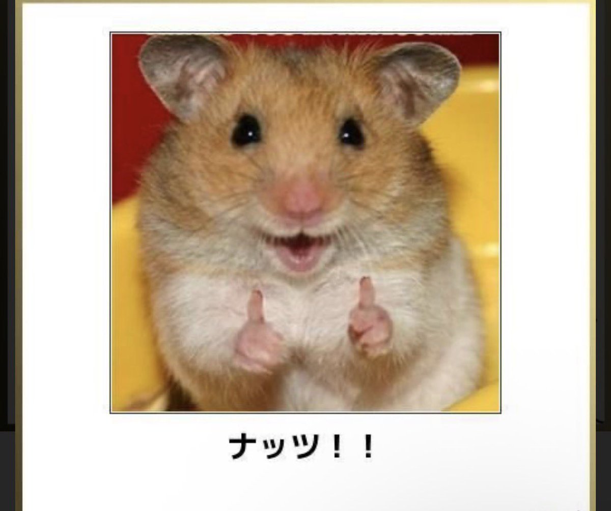 kyunyoi's tweet photo. ひなたのロック画面:ハムスターのイラスト（イメージ図参考） https://t.co/zmplEeIweu
