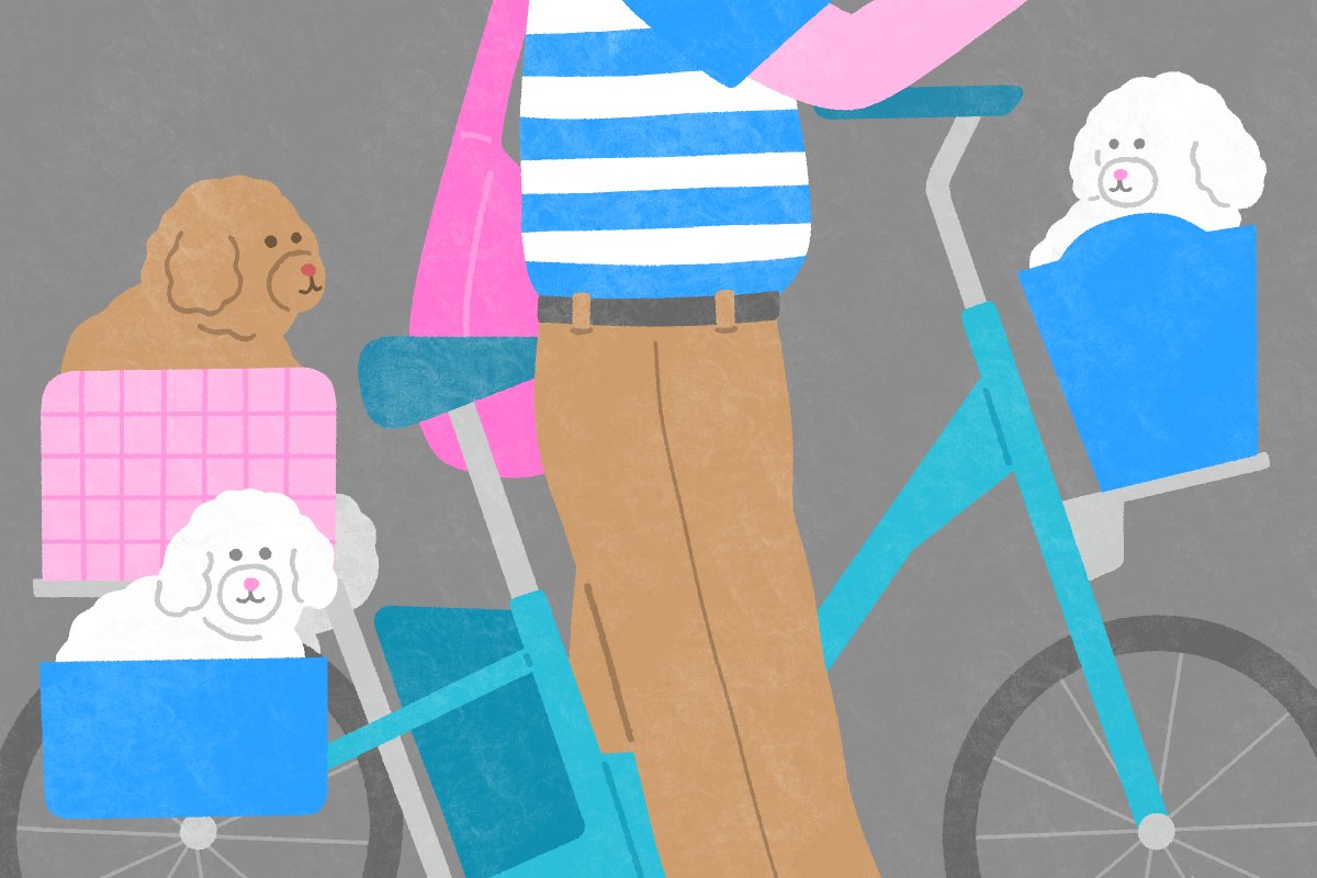 yyyunpei's tweet photo. 🐩🐩🐩🐩 + 🚲
#illustration #dogs #イラスト #犬 https://t.co/WyJ0jJMrC9