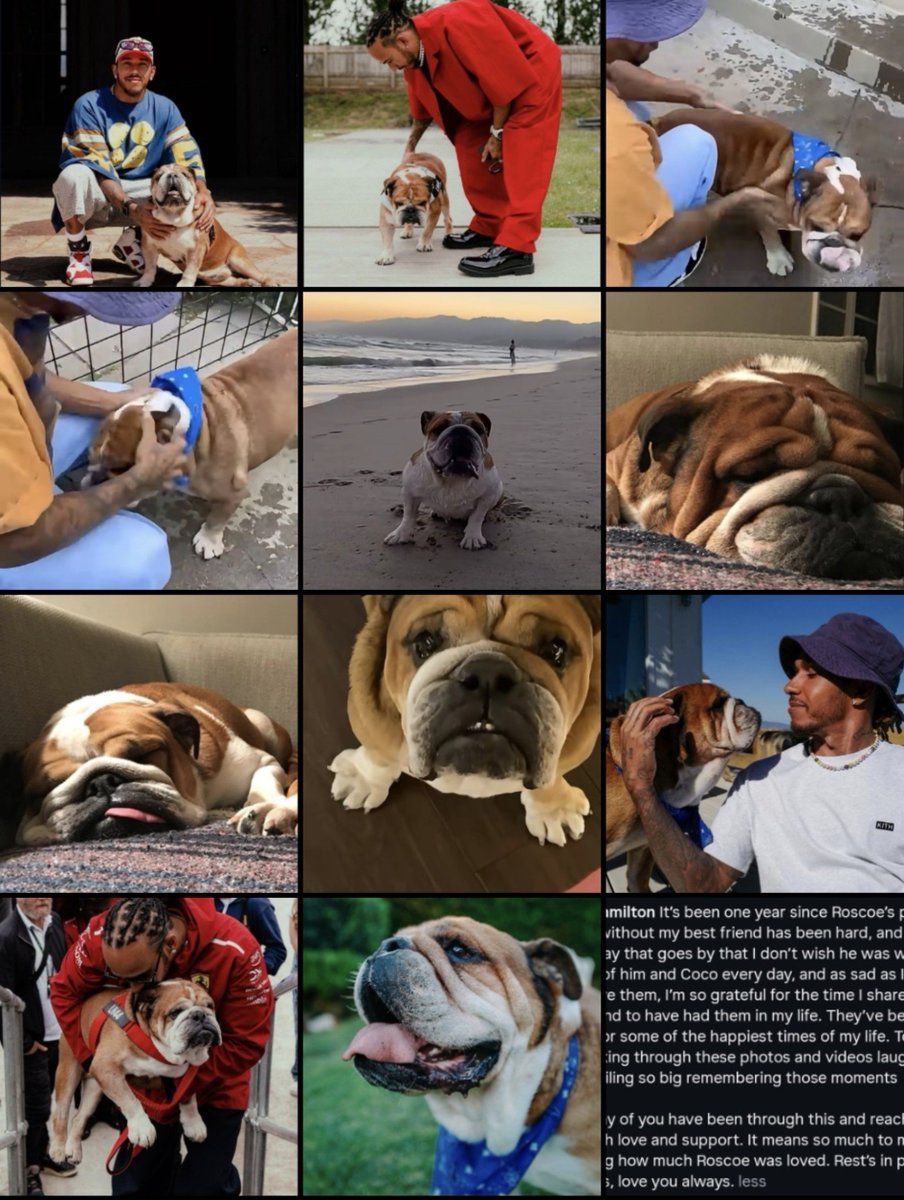 LH44_Lisa's tweet photo. Lewis #IG ~ ♥️ 

Remembering best's dog's Roscoe
🐶🕊🐾🕊🙏🏾 #TeamLH 

Sending you hugs 🤗🤗🤗 Lewis x https://t.co/ENA2Sox8xh