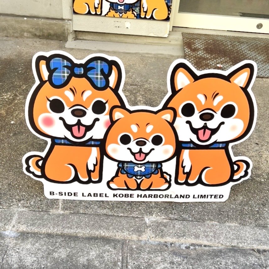 sunaska_Sun's tweet photo. 柴犬と記念撮影した犬

#犬 #チワワ #犬のいる暮らし #犬好きな人と繋がりたい
#お出かけ
#B-SIDE LABEL
#神戸 https://t.co/rHMqlaK8eP