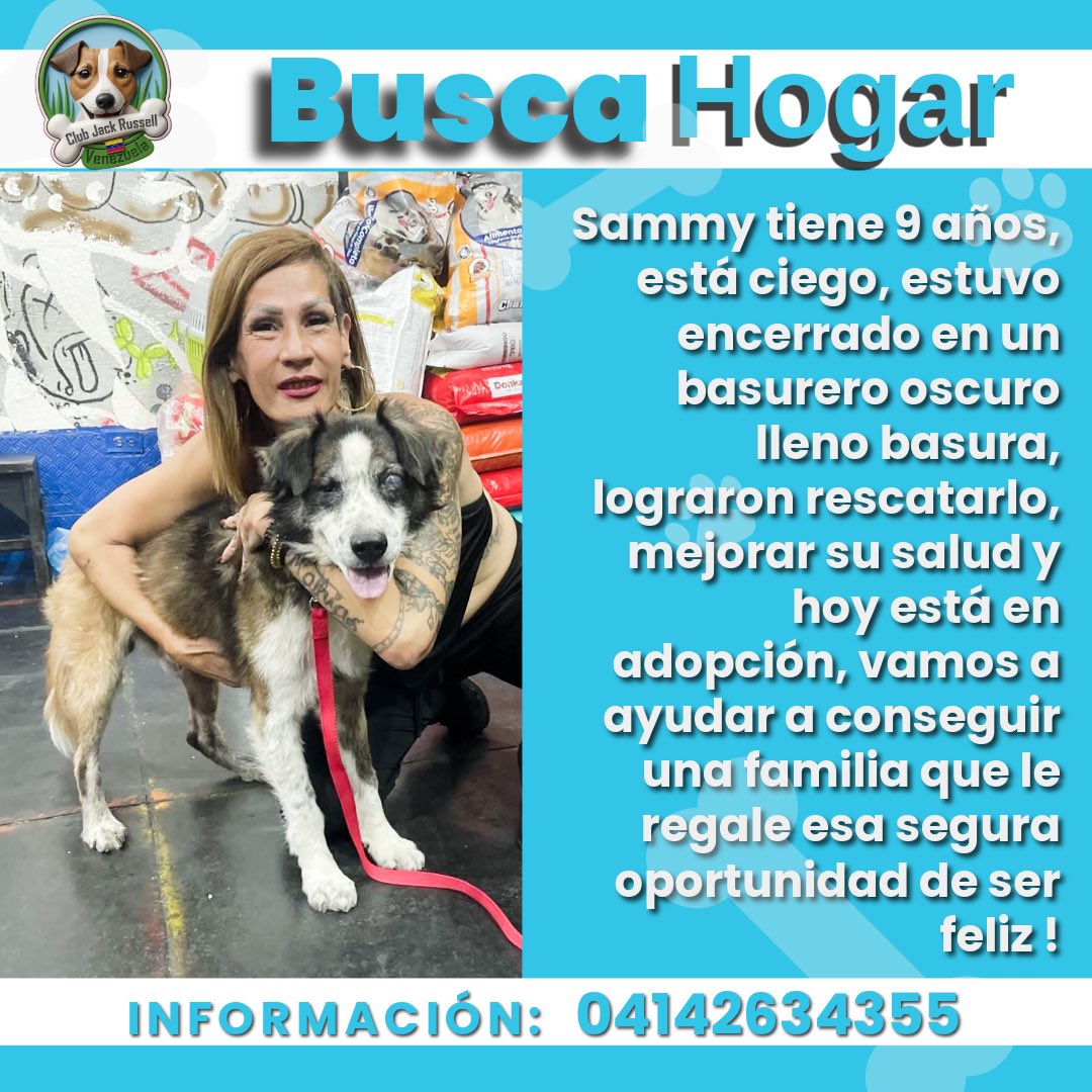 JackRussellVzla's tweet photo. #BuscaHogar
Sammy tiene 9 años, está ciego, estuvo encerrado en un basurero oscuro lleno basura, lograron rescatarlo, mejorar su salud y hoy está en adopción, vamos a ayudar a conseguir una familia que le regale esa segura oportunidad de ser feliz!

INFORMACIÓN: 04142634355 https://t.co/isTgS85eFD