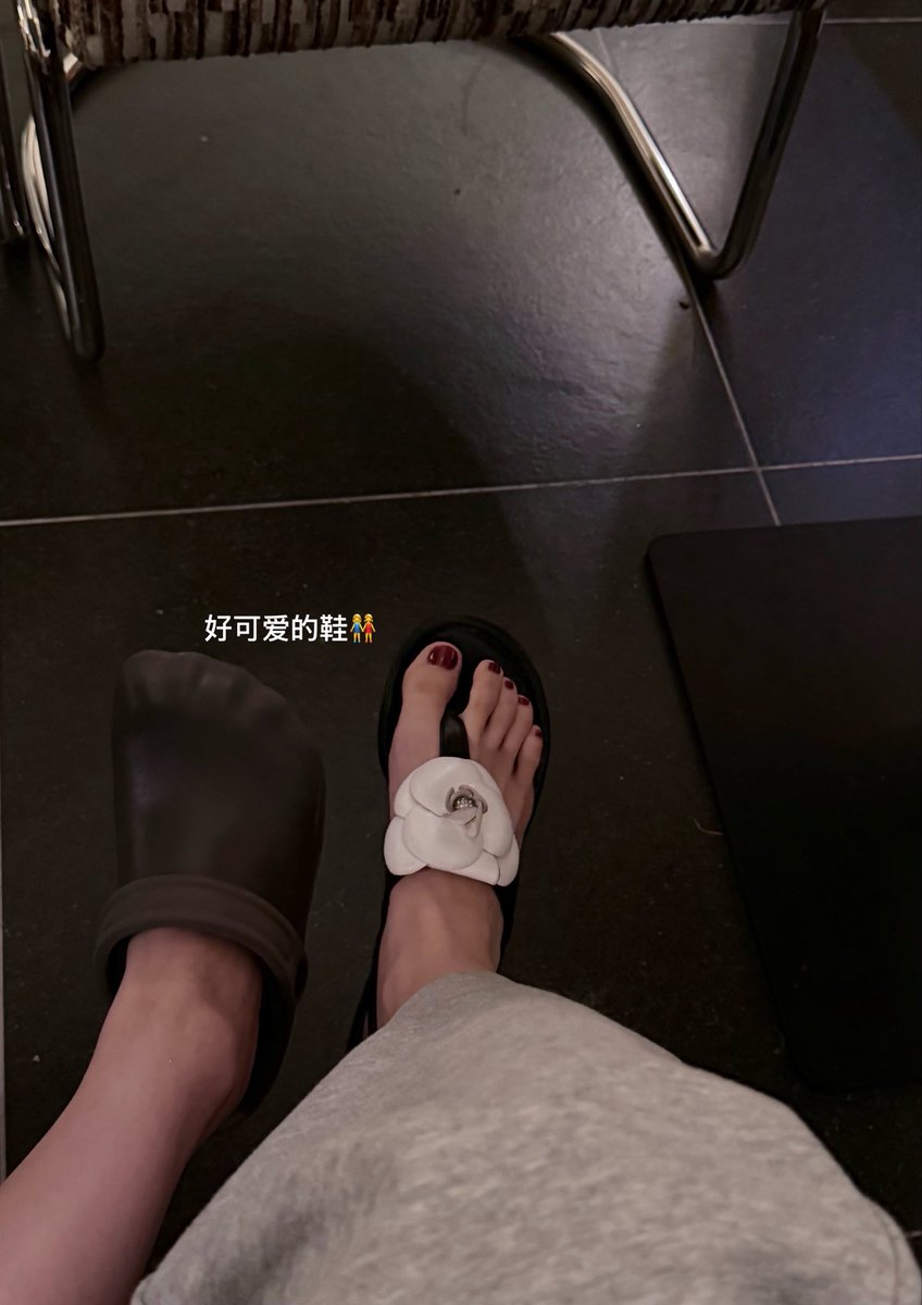 Solkaaattie's tweet photo. 幸福小猫🥰 https://t.co/YdUIOhJzzg