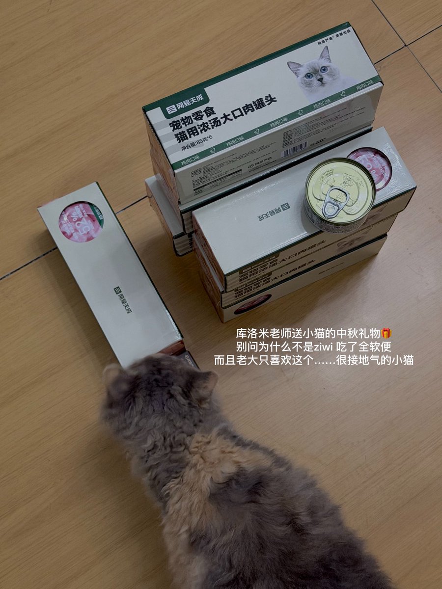 Solkaaattie's tweet photo. 幸福小猫🥰 https://t.co/YdUIOhJzzg