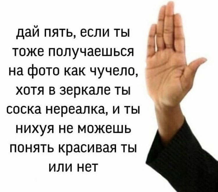 McMatras's tweet photo. я чмо https://t.co/QdIppVwbLH