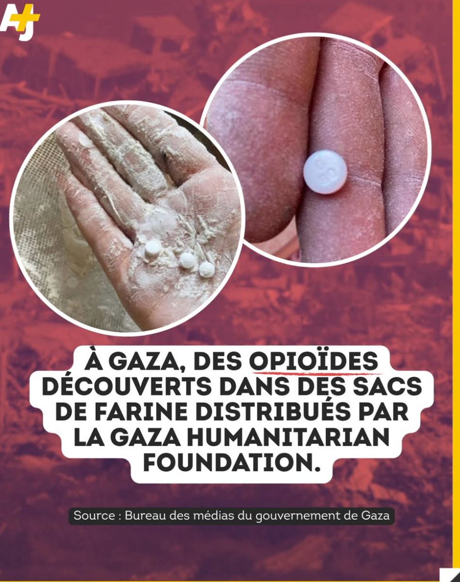SolennNivel's tweet photo. @AmanJackso49616 @officielsoral Et ça doit justifier ça ???  Vous n'êtes que des criminels 😈 Le monde entier le reconnaît, il y a partout des manifestations pour la Palestine ✌️ L'histoire a de la mémoire ni oublie, ni pardon !!! https://t.co/UyJ9NnPZSV