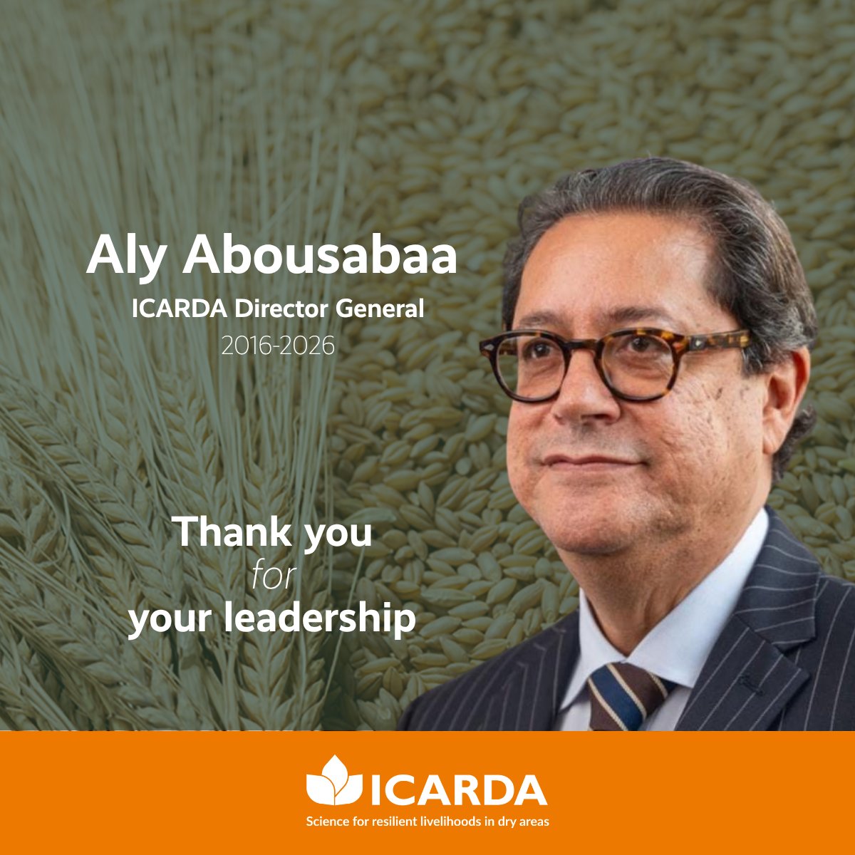 CGIAR's tweet photo. CGIAR pays tribute to @AlyAbousabaa as he concludes his tenure as ICARDA’s Director General. Thank you, Aly, for your leadership and contribution to @ICARDA and CGIAR over the past decade. Wishing you every success in the years ahead. 🌱
👉 https://t.co/BhGQEfZTVT https://t.co/NFCnAbra8o