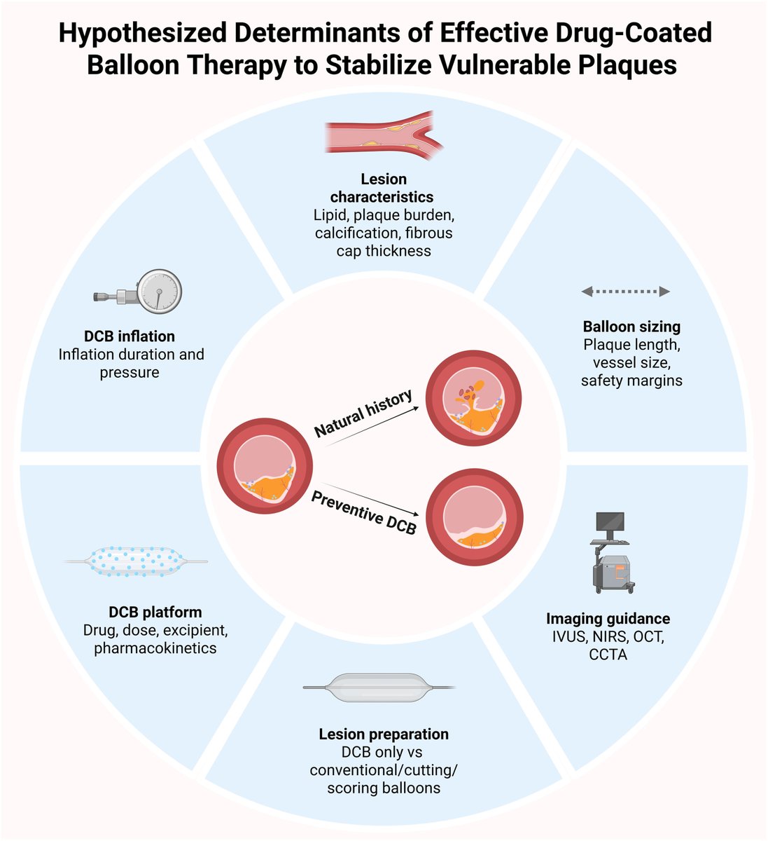 MyJSCAI's tweet photo. 📖Could drug-coated balloons become a novel strategy for stabilizing vulnerable plaques? Comprehensive review of vulnerable plaque detection, preventive PCI, & the emerging role of drug-coated balloons. #VulnerablePlaque #PCI #DCB Read now in #JSCAI 

➡️https://t.co/5NlMTfRvr2 

@BimmerClaessen @hect2701