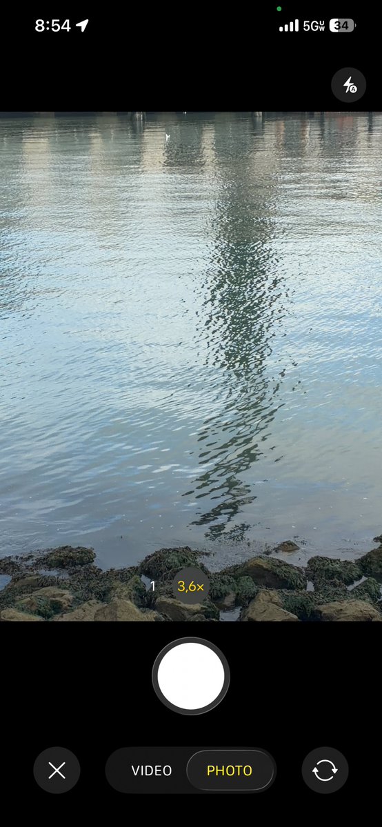 jarrodmarcelle's tweet photo. 3 5|6 6
Seagull herringbone seagulls https://t.co/vpVVvtpvqP