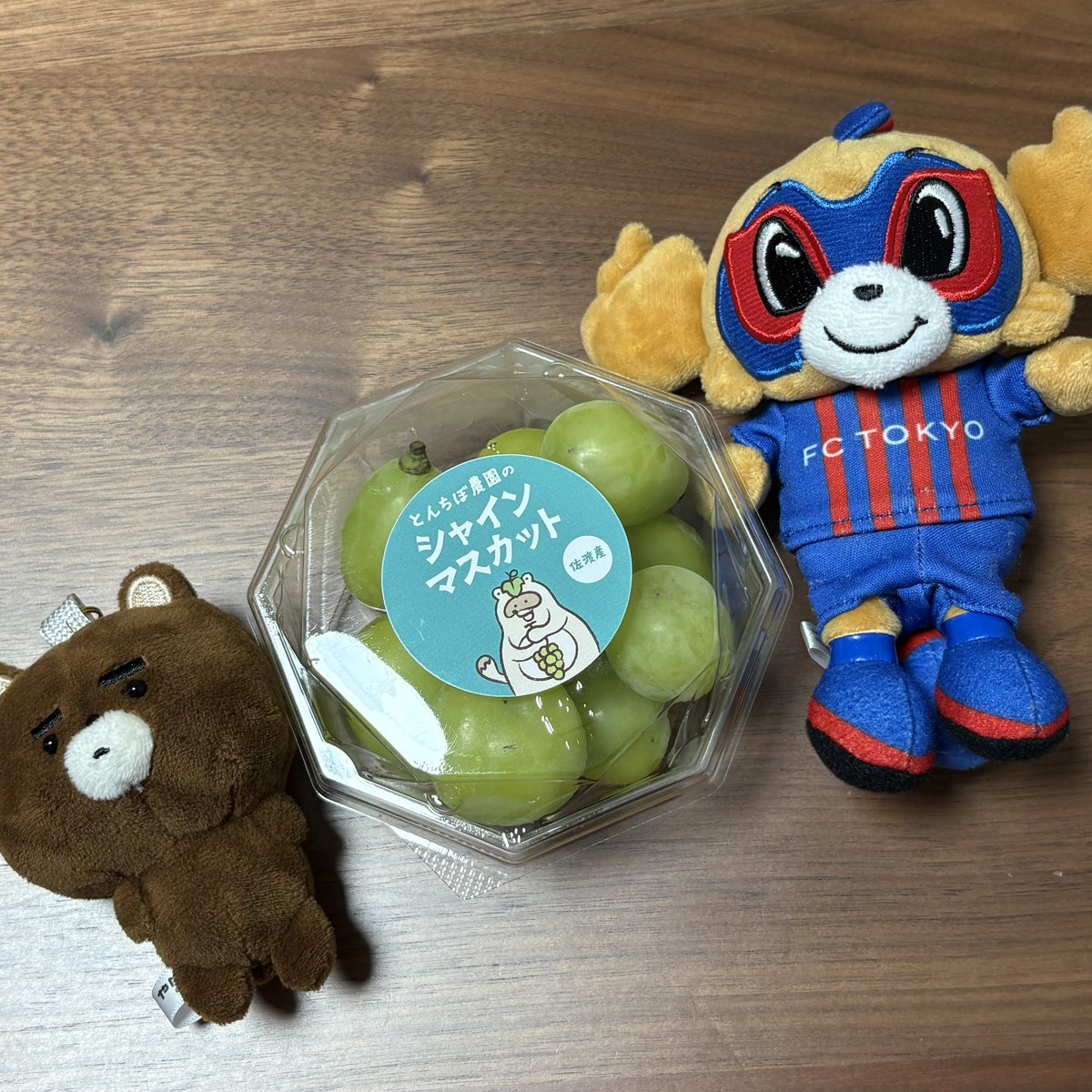 yu_cchi19's tweet photo. かわいくて買っちゃったたぬ https://t.co/w2Ywyx6zt9