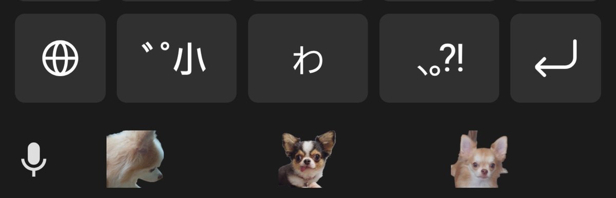 obc01985294's tweet photo. Galaxyの活用法を出してるやつを見てしまってから、チワワアイコンに変更した
たまにみっちゃんも出てくる https://t.co/mEXFaLkn5D