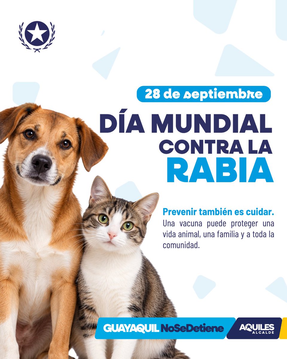 Proanimal_gye's tweet photo. La rabia puede prevenirse, y la vacunación es una de las principales herramientas para proteger a nuestros animales de compañía, nuestras familias y a toda la comunidad. 🐾💙
Mantener su vacunación al día, evitar que deambulen sin supervisión y consultar al veterinario ante cualquier situación de riesgo son acciones que también salvan vidas.
Este 28 de septiembre, Día Mundial contra la Rabia, recordemos que prevenir también es cuidar.
#GuayaquilNoSeDetiene #AquiEstamos #AquilesCumplimos