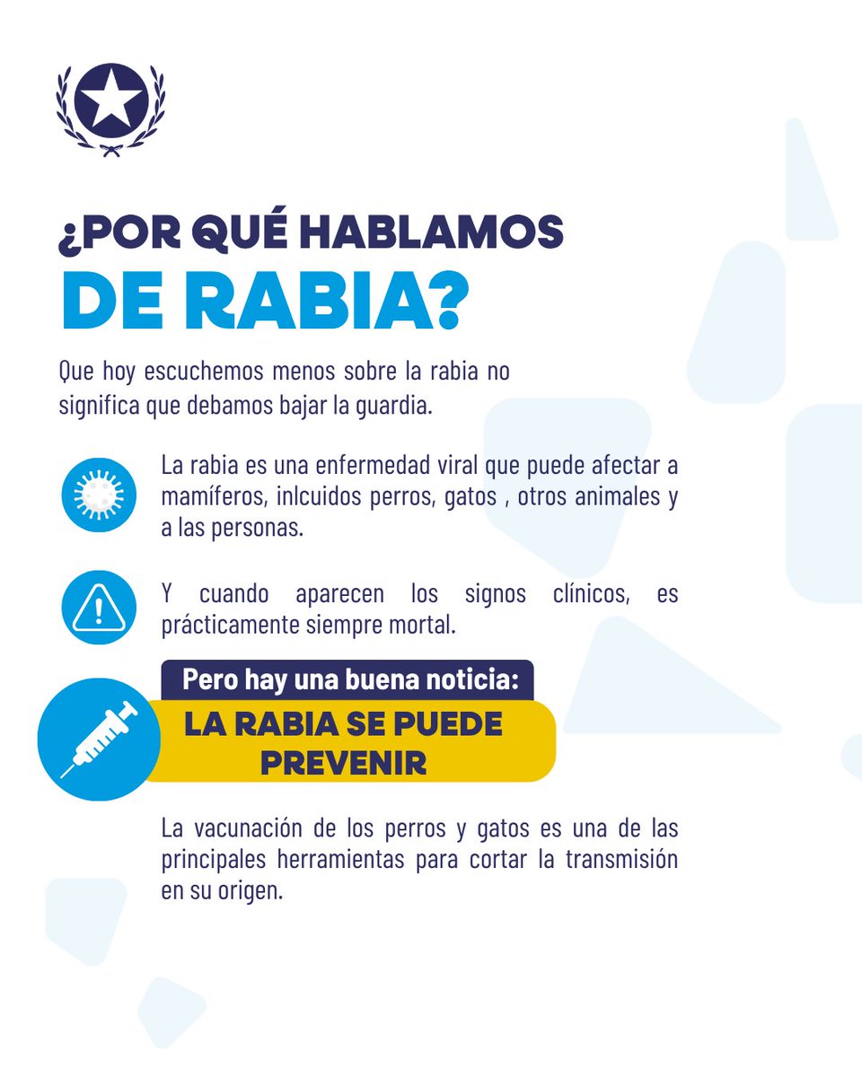 Proanimal_gye's tweet photo. La rabia puede prevenirse, y la vacunación es una de las principales herramientas para proteger a nuestros animales de compañía, nuestras familias y a toda la comunidad. 🐾💙
Mantener su vacunación al día, evitar que deambulen sin supervisión y consultar al veterinario ante cualquier situación de riesgo son acciones que también salvan vidas.
Este 28 de septiembre, Día Mundial contra la Rabia, recordemos que prevenir también es cuidar.
#GuayaquilNoSeDetiene #AquiEstamos #AquilesCumplimos