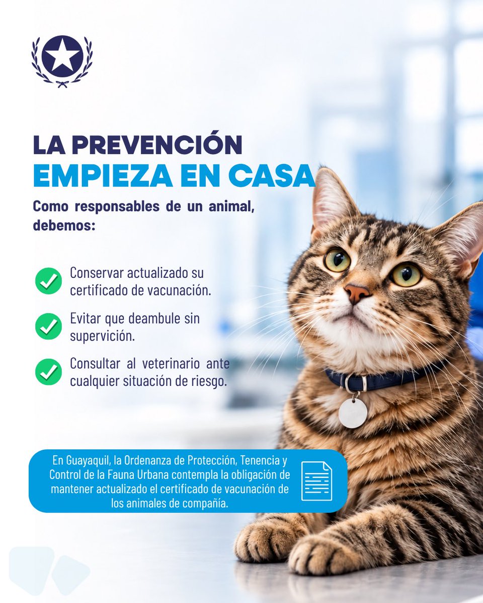 Proanimal_gye's tweet photo. La rabia puede prevenirse, y la vacunación es una de las principales herramientas para proteger a nuestros animales de compañía, nuestras familias y a toda la comunidad. 🐾💙
Mantener su vacunación al día, evitar que deambulen sin supervisión y consultar al veterinario ante cualquier situación de riesgo son acciones que también salvan vidas.
Este 28 de septiembre, Día Mundial contra la Rabia, recordemos que prevenir también es cuidar.
#GuayaquilNoSeDetiene #AquiEstamos #AquilesCumplimos