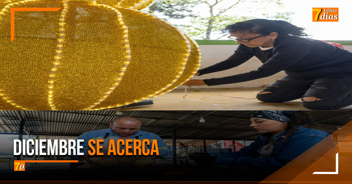Tolima7diasco's tweet photo. #Tolima7dias||Ibagué prepara desde enero el alumbrado navideño que llegará a nuevos sectores https://t.co/9s43YVstXt https://t.co/DgIfdc9PnX