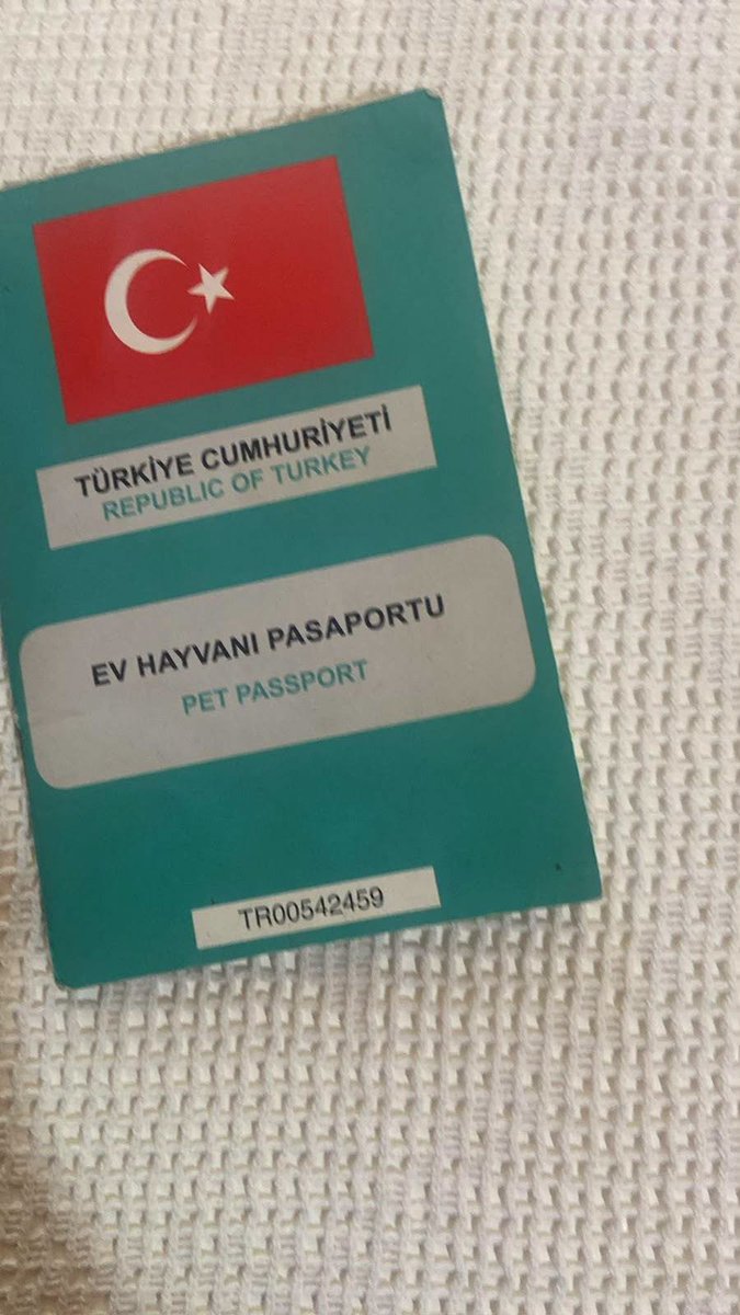 zllktlr's tweet photo. "Mersin Anamur Yuva ilanı 
4 yaşında erkek alman kurdu canayakın eğitimli  bahçeli bağlanmayacağı bir yer olması gerekiyor.sorumluluk sahibi 30 yaş üzeri kişiler whatsap tan ulaşım sağlayabilir 05055626748 https://t.co/vHtYDkBAmk https://t.co/rHsGjvdpLi