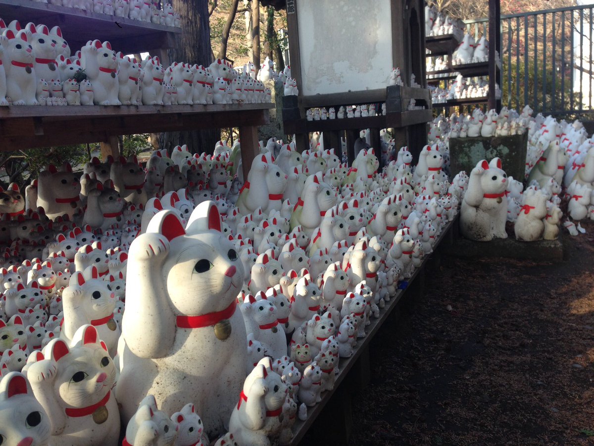 ksuke813's tweet photo. 明日のFM伊豆のメッセージテーマは招き猫の日にちなんで「縁起がいい！」メールは872@fmis.jpでお待ちしてます。9月29日の語呂合わせで「来る福の日」で「招き猫の日」というわけです。発祥地は東京の豪徳寺という説。井伊直孝の招き猫雨宿り伝説ですね。なので滋賀の彦根城にはひこにゃんがいます。 https://t.co/6XMagVzMim