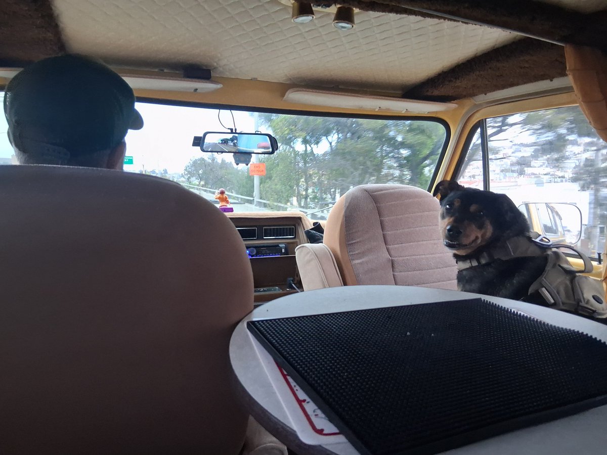 BOMBSHELL415's tweet photo. That boy love his daddy! #vanlife https://t.co/G5EjMVTLgt