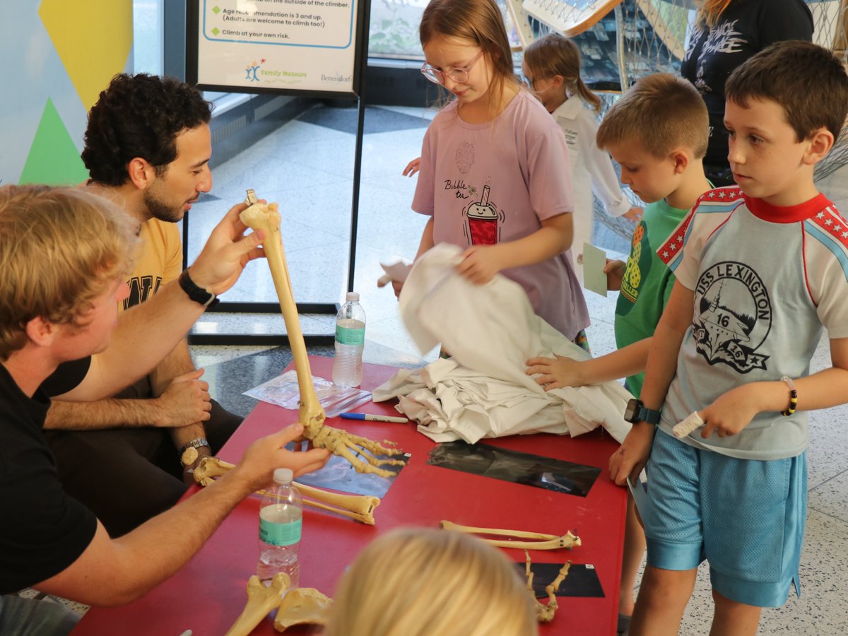IowaMed's tweet photo. Our medical students traded their classrooms for the @FamilyMuseum in Bettendorf! 🩺

At the museum’s Doctors in Training: STEAM Night, our student volunteers helped young visitors get a hands-on look at medicine through different activities, like trying on white coats.

We love seeing our students share their passion for medicine and inspire the next generation of health care professionals!