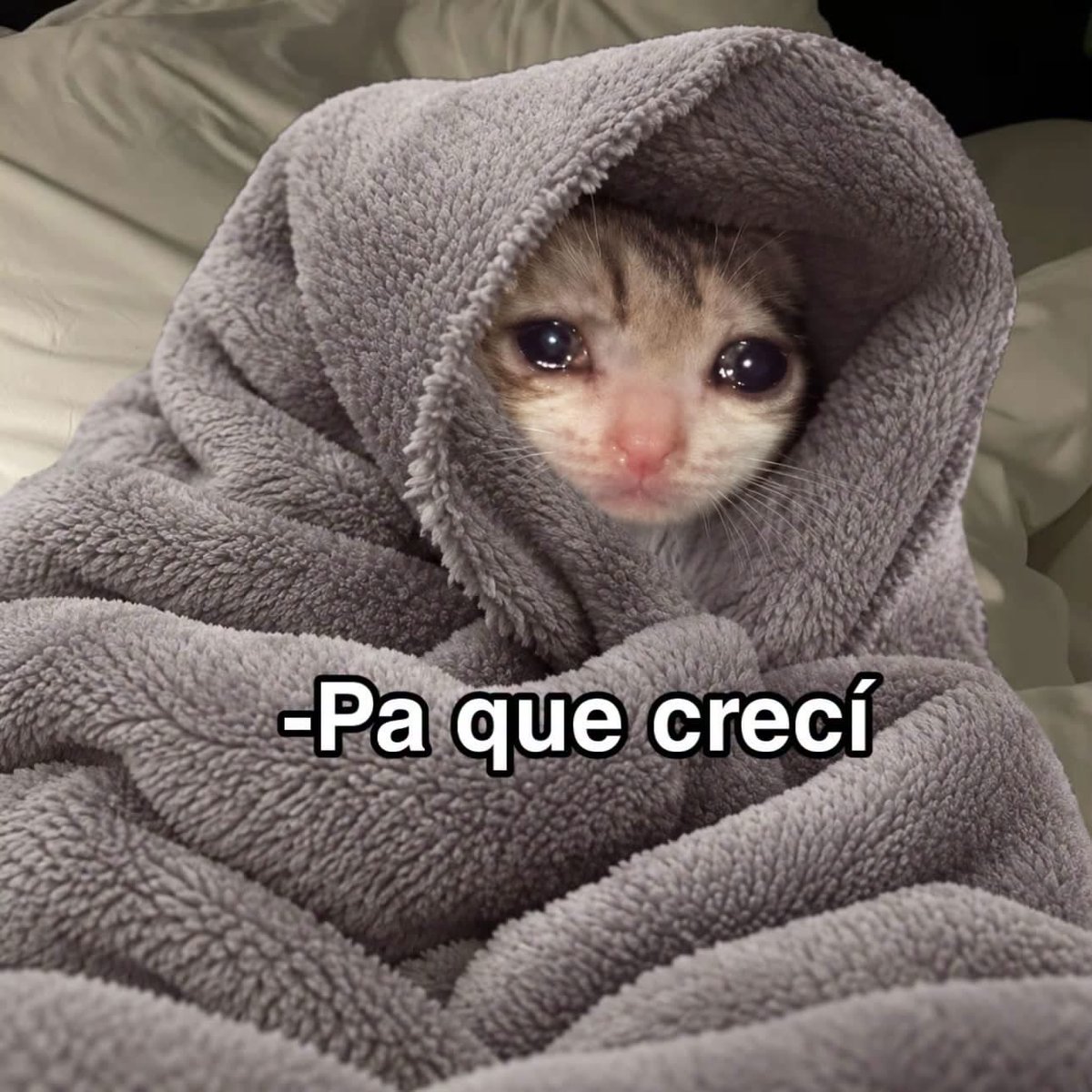 Javisness's tweet photo. Yo todos los Lunes: https://t.co/psUzymzVjs