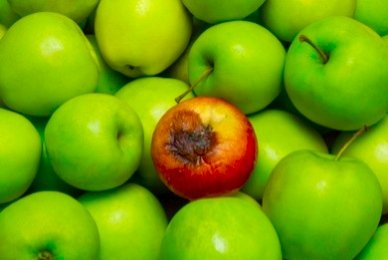 tv_8730721's tweet photo. 🍎 There are bad apples  in every crate.But when the system protects them,delays action and #victimshames those who speak up, it becomes a #leadershipchoice. Let the #evidence expose the #truth and let #accountability follow.Bad apples exist.Protecting them is a choice #Keralam https://t.co/igwKhBegft