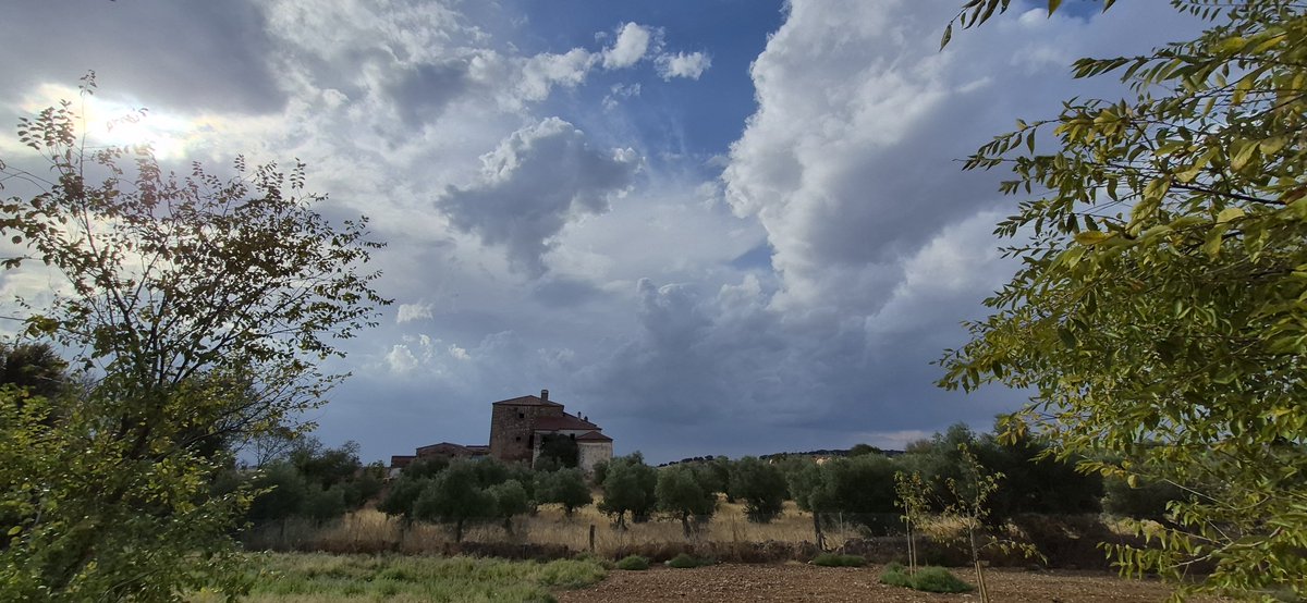 antoniodl_'s tweet photo. 17::53 h. CÁCERES  🟠.  #TiempoExtremadura https://t.co/J678tcqb2K