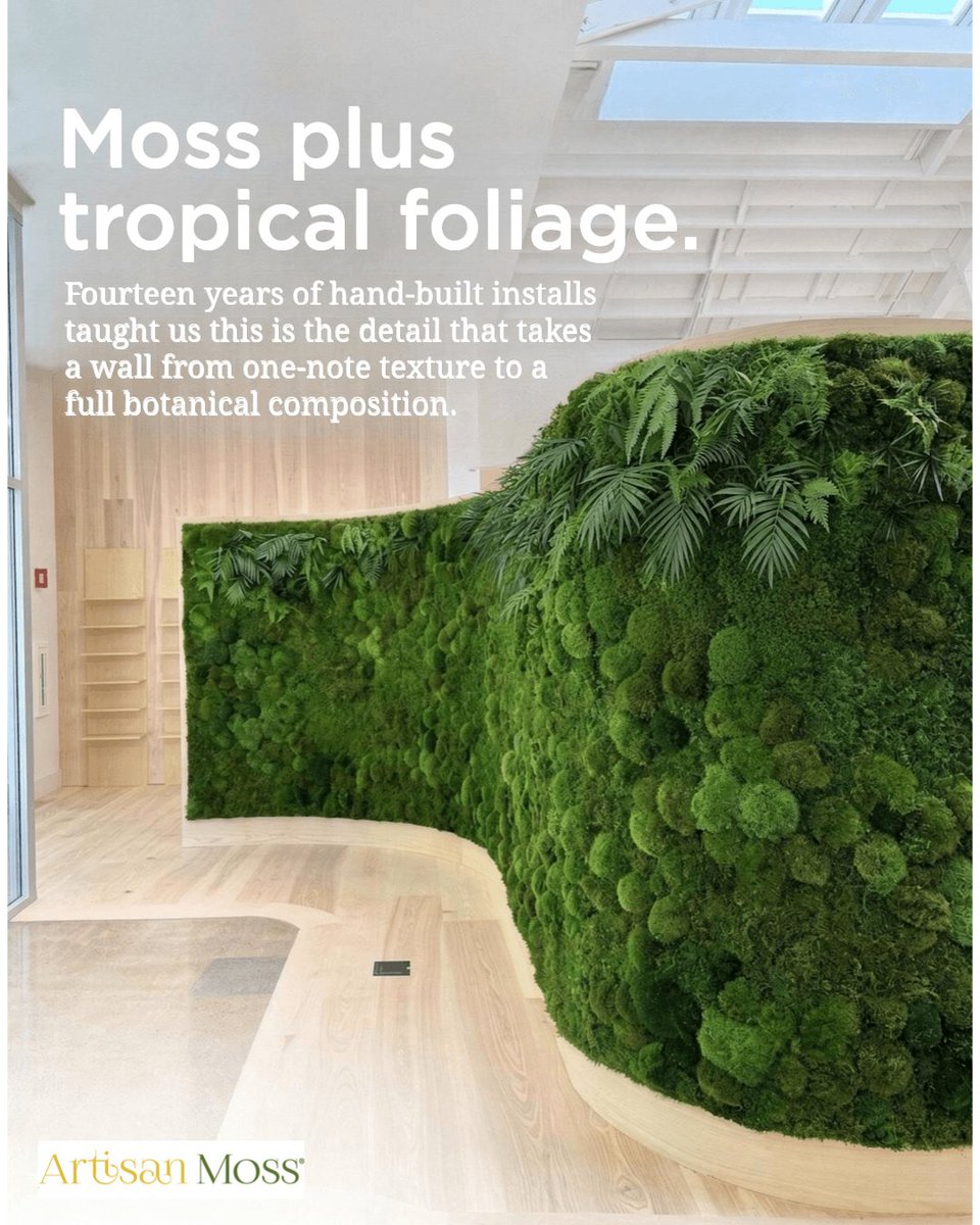 ArtisanMoss's tweet photo. Tropical foliage breaks up the moss and adds shape. Fourteen years of hand-built installs taught us one detail changes everything.

Shop with certainty https://t.co/TNU1swZ0jK https://t.co/D7kZhiIf4f