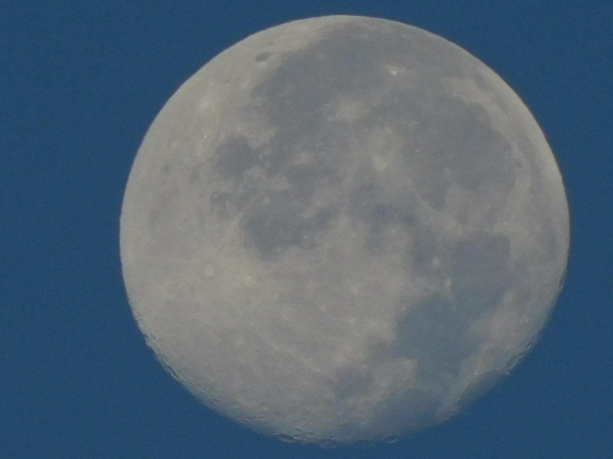 OblivionEric's tweet photo. Waking up to the moon https://t.co/YY5gIxWWKA