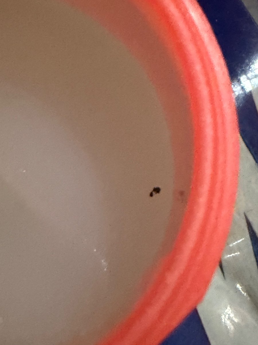 PradeepKP7's tweet photo. @BiolineOfficial What is this ? I never expected this.

@BiolineOfficial  @HLLLifecare  I found what appears to be a foreign/dirty particle inside a freshly opened jar of Bioline Petroleum Jelly. This is a product intended for direct skin use https://t.co/AgfLnm3QOP