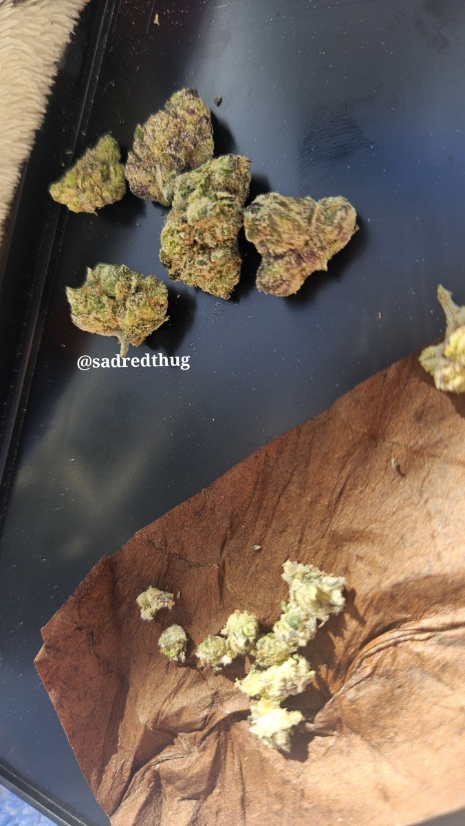sadredthug's tweet photo. Another day, Another bake. :3 
Rollin bluntz/loose leafs
100/10 obvi 💕🙏🏽
#weedtwt #drugtwt https://t.co/yseA255U6U