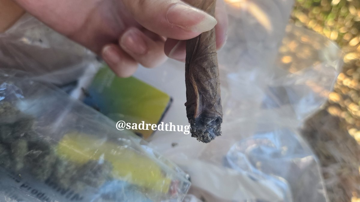 sadredthug's tweet photo. Another day, Another bake. :3 
Rollin bluntz/loose leafs
100/10 obvi 💕🙏🏽
#weedtwt #drugtwt https://t.co/yseA255U6U