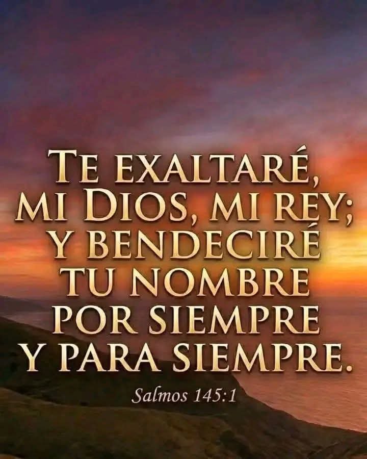 Maco_Rodas's tweet photo. 👑 https://t.co/FegPNQVtTL