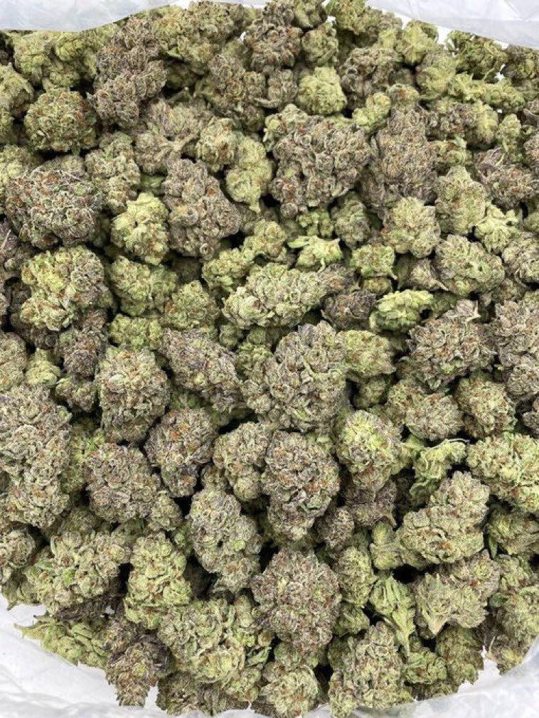 thuggerplugg103's tweet photo. Garanimal Cookies deps
Colorful cut of grape pie crossed with animal cookies. Frosty nugs with nice structure and a grape cake/GSC cross nose
Tap in !!

#Dallas #DTX #DallasFreaks #DallasMeetups #DallasMeets #ATX #dallascarts #dallasweed
#ATXweed #austinweed #dallasexotics #dallasdisposables #dallasplugs #dallasdrugs