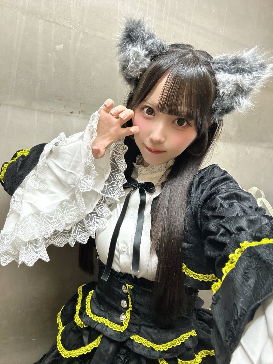 kurumi_swdp's tweet photo. おはくる！ฅ( •ω• ฅ)ｶﾞｵ- https://t.co/l7uqQq4RFB