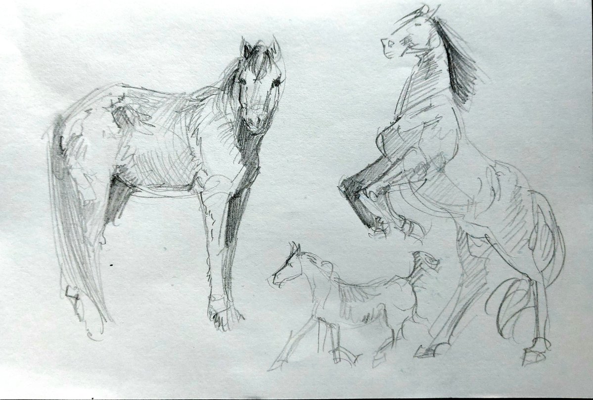 gems_bokk's tweet photo. on paper too https://t.co/1mpqbkq5Tu
